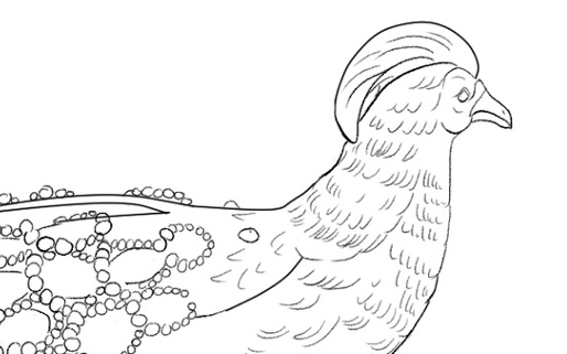 For coloring Aces: Pick up your pencils!